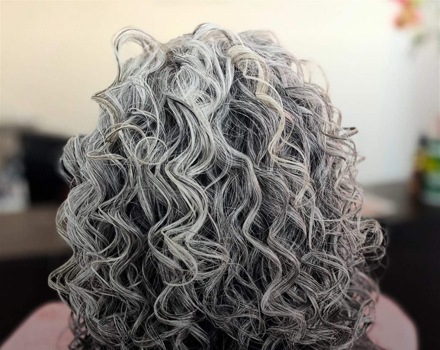 Rizos plateados con canas iluminadas, vistos de espalda